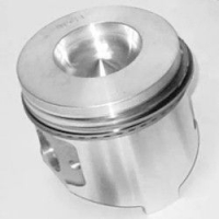 Piston Assy 0.50 mm
